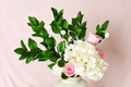 Blush Harmony