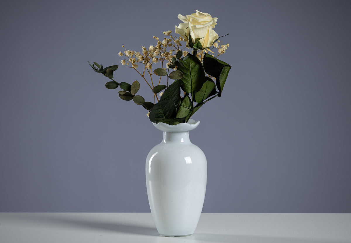 Single Rose in Diverse Colors