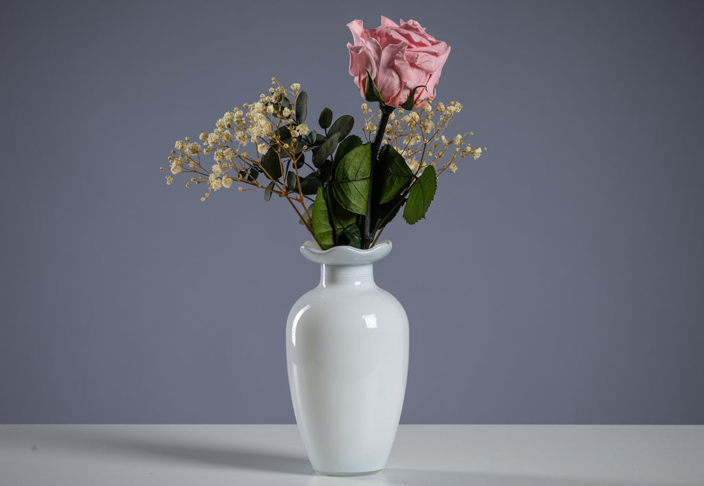 Single Rose in Diverse Colors