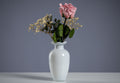 Single Rose in Diverse Colors