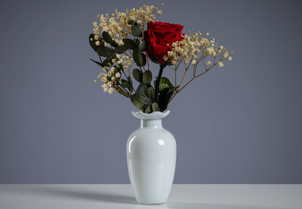 Single Rose in Diverse Colors