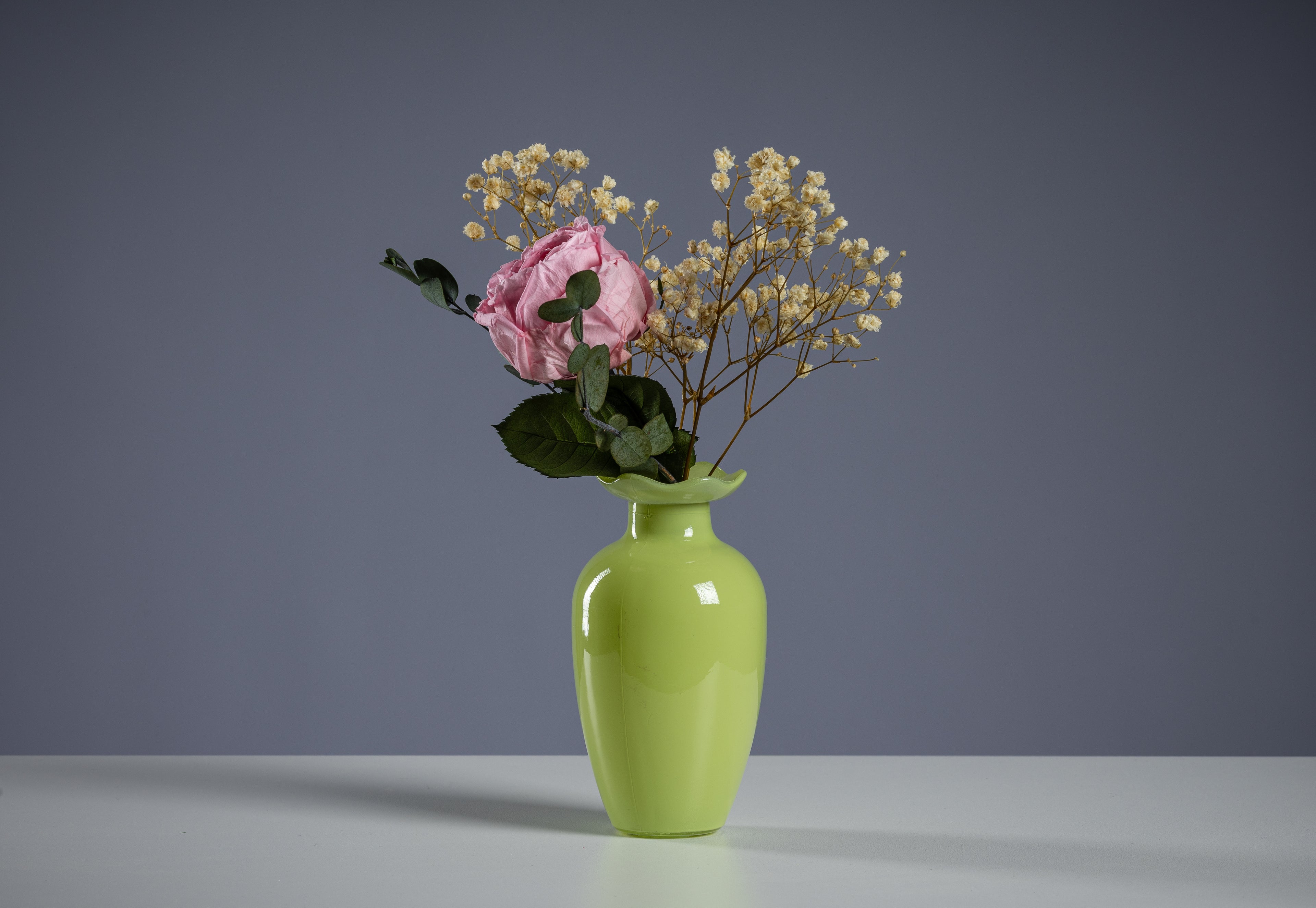Single Rose in Diverse Colors