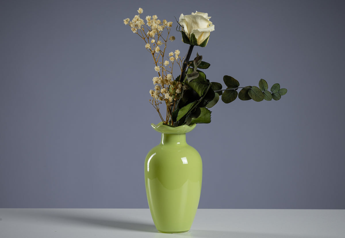 Single Rose in Diverse Colors