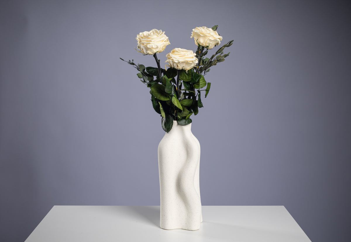 Premium Rose - Champagne